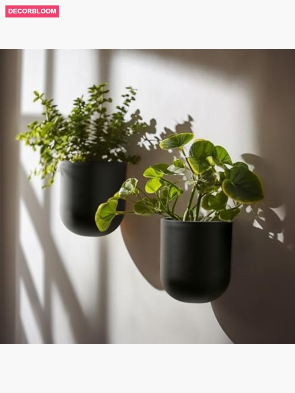 Wall Hanging Planters for Indoor Plants Set of 2 6 Inch Modern - Picture 2 of 7